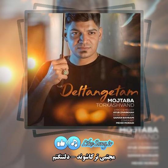 دانلود آهنگ مجتبی ترکاشوند دلتنگتم